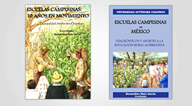 E haverá importância maior que conviver com os oprimidos, com os esfarrapados do mundo, com os “condenados da terra”? Paulo Freire In Mexico, 15 years ago, the Autonomous University of...